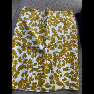 NWT Loft Pencil Skirt